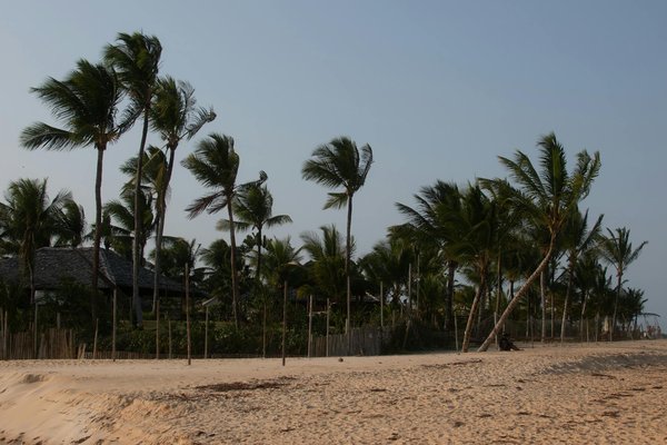 Réveillez vos sens avec une nuit insolite en france